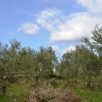 Земельный участок в Греции, Центральная Македония, Центр