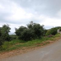 Земельный участок в Греции, Крит, 3000 кв.м.