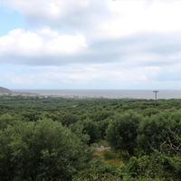 Земельный участок в Греции, Крит, 3000 кв.м.