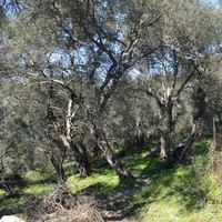 Земельный участок в Греции, Ионические острова