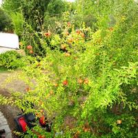 Other in Greece, Central Macedonia, Center, 240 sq.m.