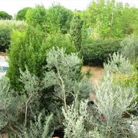 Other in Greece, Central Macedonia, Center, 240 sq.m.