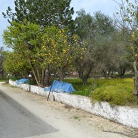 Other in Greece, Ionian Islands, 130 sq.m.