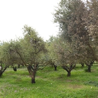 Land plot in Greece, Ionian Islands