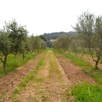 Land plot in Greece, Ionian Islands