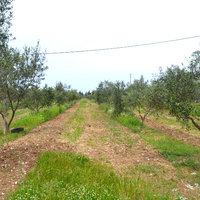 Land plot in Greece, Ionian Islands