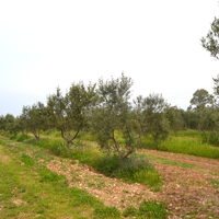 Land plot in Greece, Ionian Islands