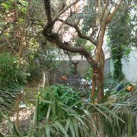 Land plot in Greece, Attica, Athens