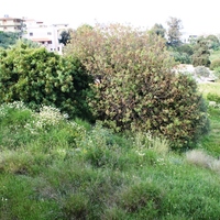 Земельный участок в Греции, Dode