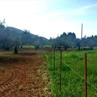 Земельный участок в Греции, Аттика, Афины