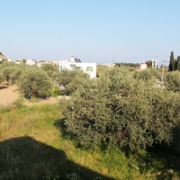 Flat in Greece, Dode, 76 sq.m.