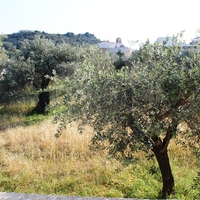 Flat in Greece, Dode, 76 sq.m.