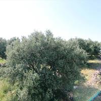 Land plot in Greece, Crete, Irakleion, 600 sq.m.