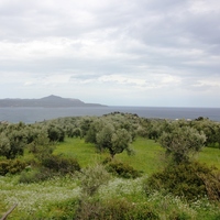 Land plot in Greece, Crete, Chania