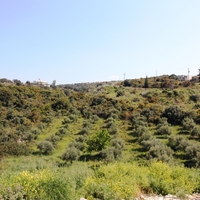 Business center in Greece, Crete, Chania, 700 sq.m.