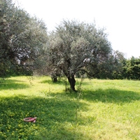 Hotel in Greece, Dode, 1300 sq.m.