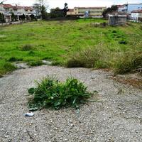 Land plot in Greece, Central Macedonia, Center