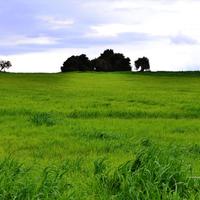 Земельный участок в Греции, Центральная Македония, Центр