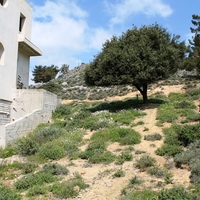 Другое в Греции, Dode, 210 кв.м.