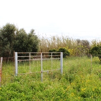 Other in Greece, Dode, 130 sq.m.