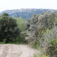 Other in Greece, Dode, 130 sq.m.