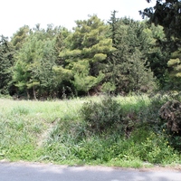 Land plot in Greece, Dode