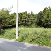 Land plot in Greece, Dode