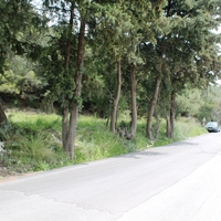 Land plot in Greece, Dode