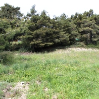 Land plot in Greece, Dode
