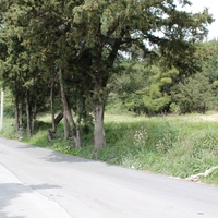 Land plot in Greece, Dode