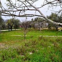 Земельный участок в Греции, Центральная Македония, Центр