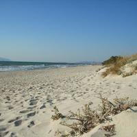 Land plot in Greece, Dode, 5635 sq.m.