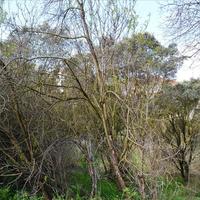 Land plot in Greece, Central Macedonia, Center, 550 sq.m.