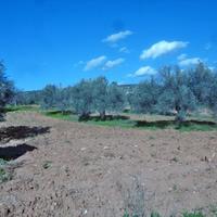 Land plot in Greece