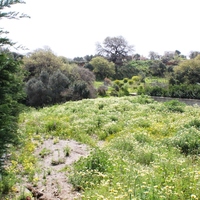 Other in Greece, Dode, 210 sq.m.