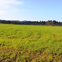 Land plot in Greece, Central Macedonia, Center