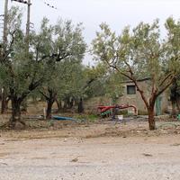 Land plot in Greece, Central Macedonia, Center, 5500 sq.m.