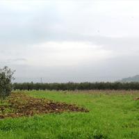 Земельный участок в Греции, Центральная Македония, Центр, 6930 кв.м.