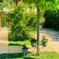 Другое в Греции, Центральная Македония, Хал, 185 кв.м.