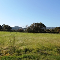 Land plot in Greece, Dode