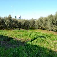 Таунхаус в Греции, Центральная Македония, Центр, 134 кв.м.