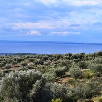 Бизнес-центр в Греции, Центральная Македония, Хал, 200 кв.м.