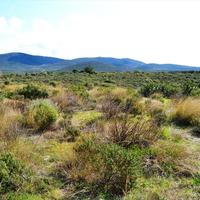 Бизнес-центр в Греции, Центральная Македония, Хал, 200 кв.м.