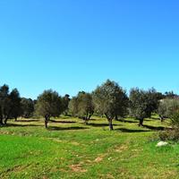 Земельный участок в Греции, Центральная Македония, Центр