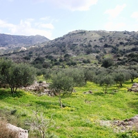 Land plot in Greece, Crete, Chania