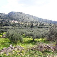 Land plot in Greece, Crete, Chania