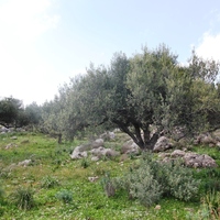 Land plot in Greece, Crete, Chania
