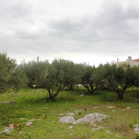 Land plot in Greece, Crete, Chania