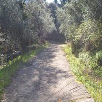 Land plot in Greece, Ionian Islands