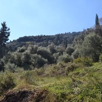 Land plot in Greece, Ionian Islands